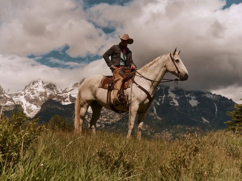 A rider crossing the Western landscape